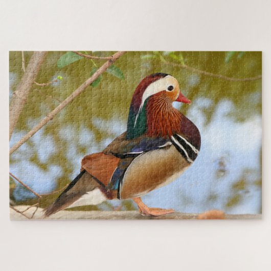 1000 piece Mandarin duck Jigsaw Puzzle (Horizontal)
