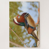1000 piece Mandarin duck Jigsaw Puzzle (Vertical)