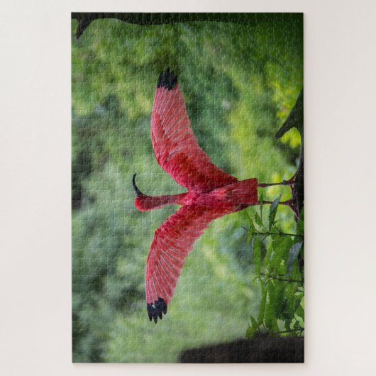 1000-stuk Flamingo Puzzle Legpuzzel (Verticaal)