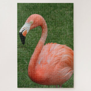 1000 stuk Roze Flamingo Legpuzzel