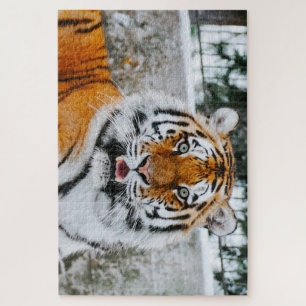 1000 stuks Cute Tiger Jigzaag Puzzle Legpuzzel