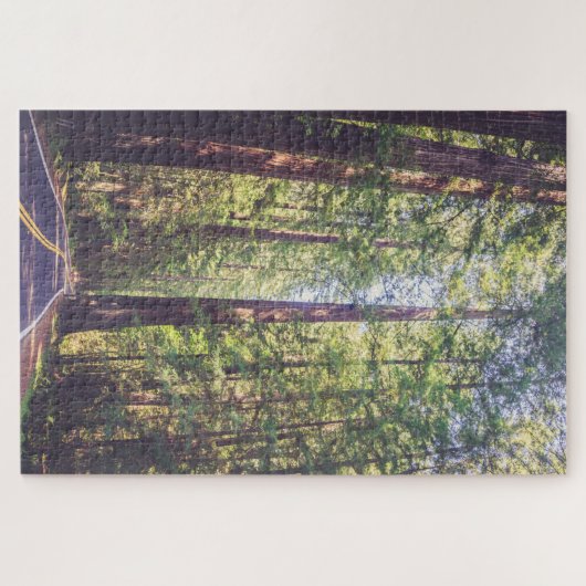 1000 stuks Puzzle Humboldt Trees Redwood Forest Legpuzzel (Horizontaal)