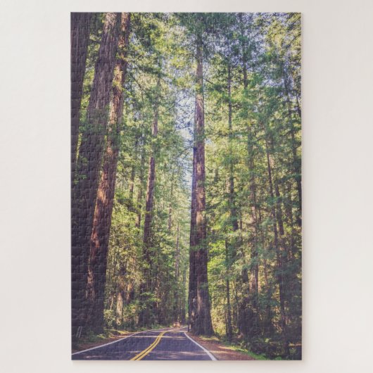 1000 stuks Puzzle Humboldt Trees Redwood Forest Legpuzzel (Verticaal)