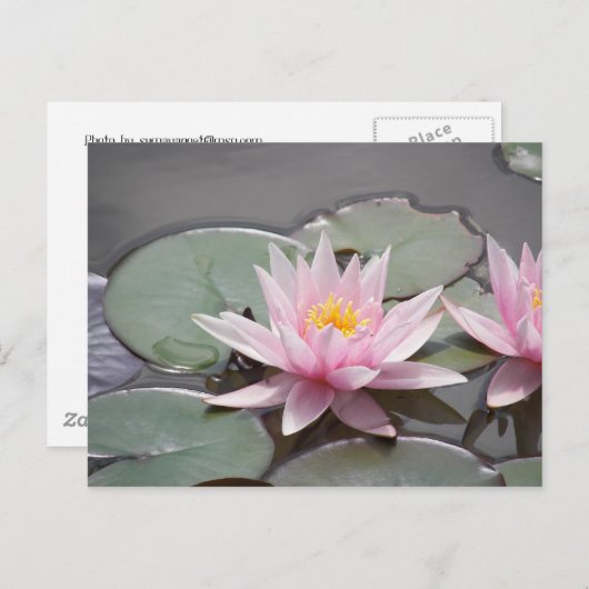 100_0085 BRIEFKAART (Voorkant / Achterkant)