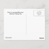 100_0085 BRIEFKAART (Achterkant)