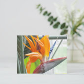 100_0344Post kaart-BIRD VAN PARADISE Briefkaart (Staand voorkant)