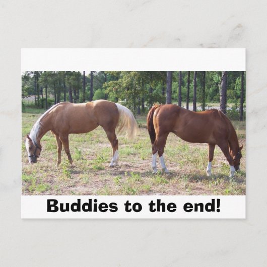 100_0350, Boeddies tot het einde! Briefkaart (Voorkant)