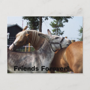 100_0424, Friends Forever! Briefkaart