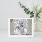 100_0709, Maggie's Flower, Caroline Vaughan 2007 Briefkaart (Staand voorkant)