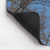 100_0744 MUISMAT (Hoek)