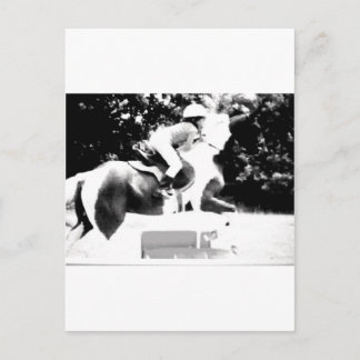 100_0760-1 Hunter/Jumper child Briefkaart