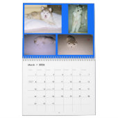 100_2382, St Francis Malamutes Kalender (Mar 2026)