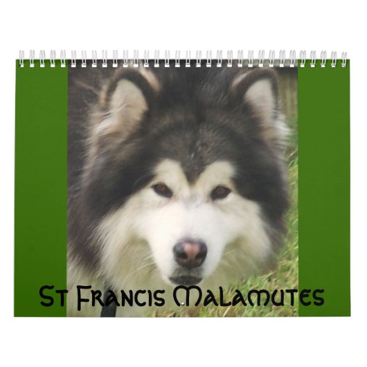 100_2382, St Francis Malamutes Kalender (Hoes)