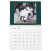 100_2382, St Francis Malamutes Kalender (Jan 2026)