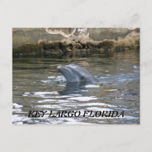 100_8578, BELANGRIJKSTE LARGO FLORIDA BRIEFKAART