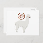 100% Alpaca Briefkaart (Voorkant / Achterkant)