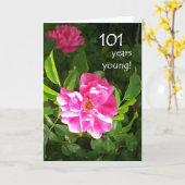 101e verjaardag Kaart - Roze Rozen (Gele Bloem)