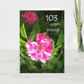 103rd Carte d'anniversaire - roses roses (Devant)