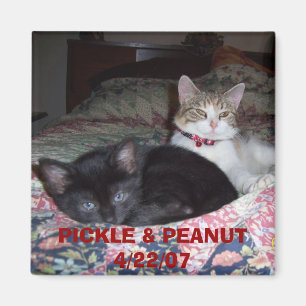 105_1036, PICKLE & PEANUT 4/22/07 MAGNEET