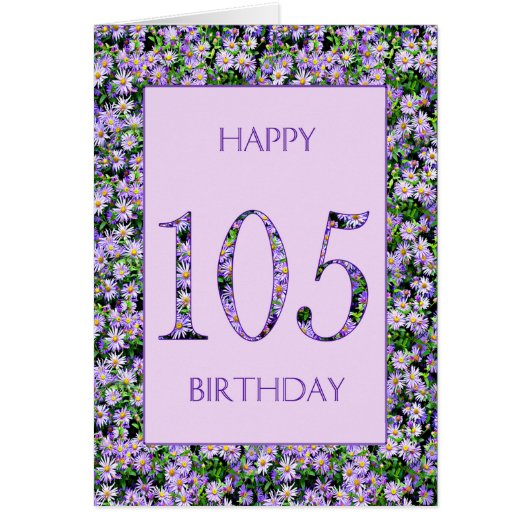 105e anniversaire de marguerites violettes (Devant)