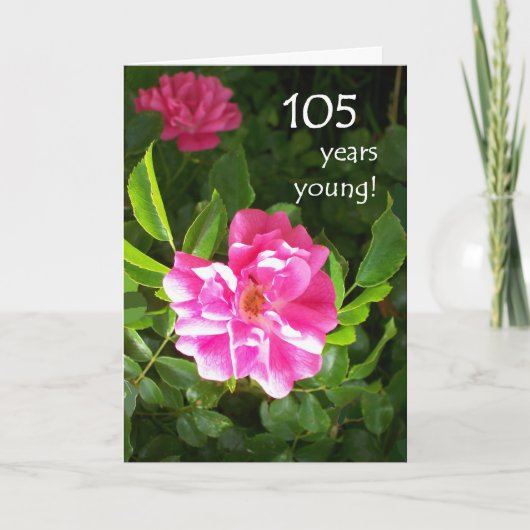 105e carte anniversaire - Roses roses roses (Devant)