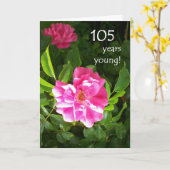 105e carte anniversaire - Roses roses roses (Fleur jaune)