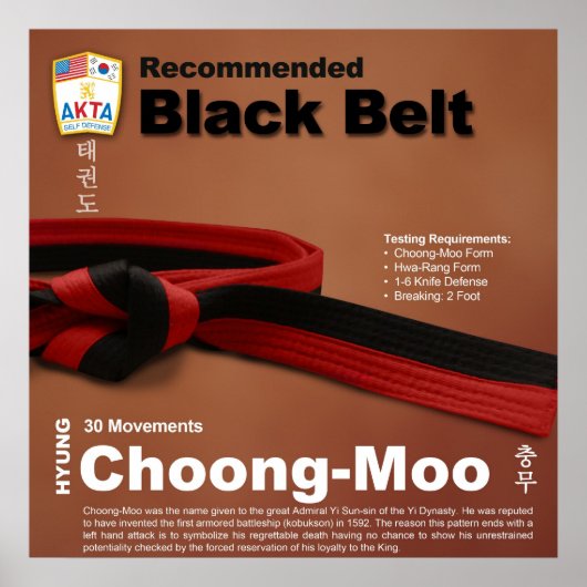 10-11 Poster recommandé Black Belt Do-jang (Devant)
