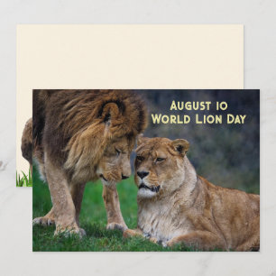 10 aug, Wereld Leeuwendag 5 x 7 kaart