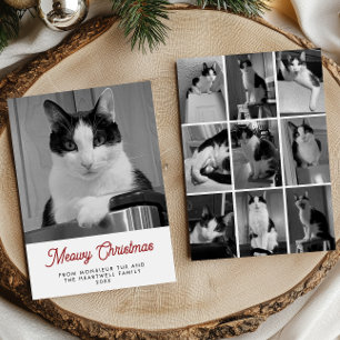 10 Kattenfoto's Miauwe Kerst Pret Feestdagenkaart