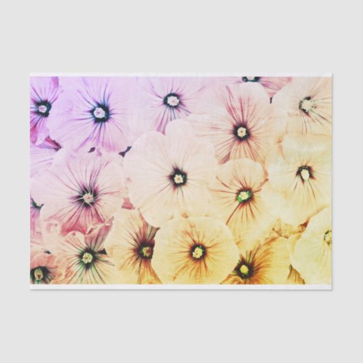 10 lb Tissue Paper, HAPPY SEED TISSUE PAPIER GEEL (Voorkant)