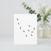 10 mieren briefkaart (Staand voorkant)