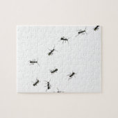 10 mieren legpuzzel (Horizontaal)