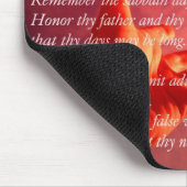 10 Muismat geboden (Hoek)