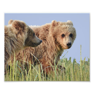 10 x 8 inch, Kodak Professional-fotopapier (Satin) Foto Afdruk