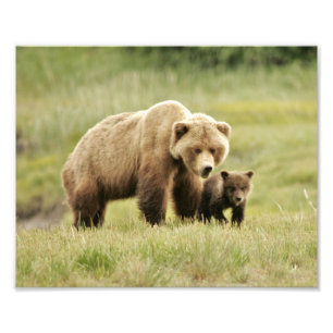 10 x 8 inch, Kodak Professional-fotopapier (Satin) Foto Afdruk