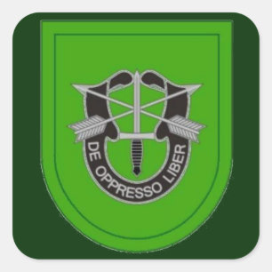 10e Special Forces Grp Flash DUI Stickers
