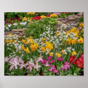 10x8 Colorful Spring Flowers in volle bloei Poster