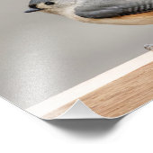 10x8 Tufted Titted muis Foto Afdruk (Hoek)