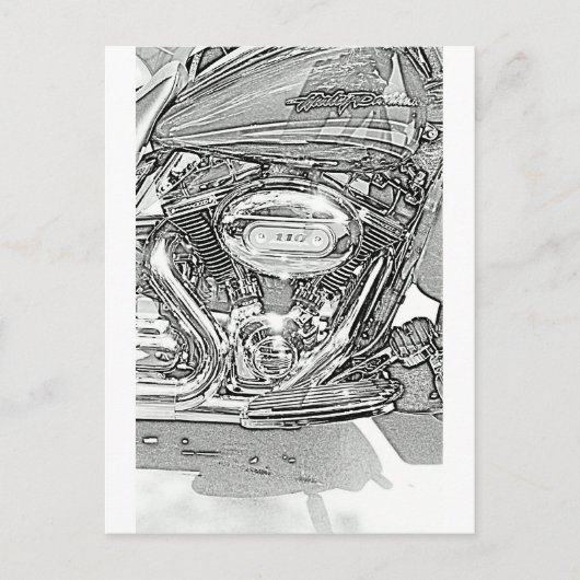 110-schermadelaar briefkaart (Voorkant)