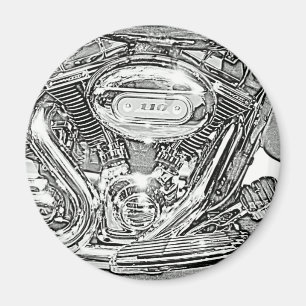 110-schermadelaar magneet