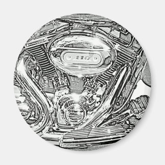 110-schermadelaar magneet