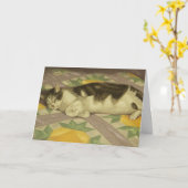 1149 Cat sur la carte d'anniversaire de la couette (Fleur jaune)