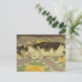 1149 Kat op kantelbaar Briefkaart (Staand voorkant)