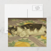 1149 Kat op kantelbaar Briefkaart (Voorkant / Achterkant)