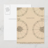 116 Doden kinkhoest Briefkaart (Voorkant / Achterkant)