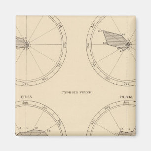 117 Sterfte influenza, tyfus koorts 1900, 1890 Magneet
