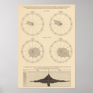 117 Sterfte influenza, tyfus koorts 1900, 1890 Poster