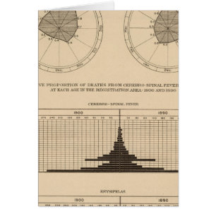 118 Sterfte cerebrospinale koorts