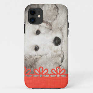 11 Amoureux de les chiens Photo iPhone 5 Coque
