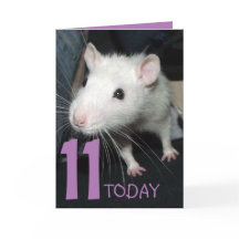 11 aujourd'hui (personnalisable) Husky rat carte d